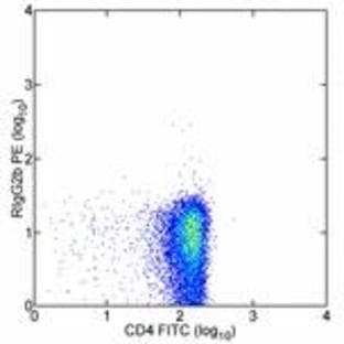 anti-Chemokine (C-X-C Motif) Receptor 4 (CXCR4) antibody (PE) avatar