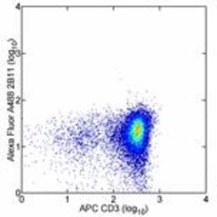 anti-Chemokine (C-X-C Motif) Receptor 4 (CXCR4) antibody (Alexa Fluor 488) avatar