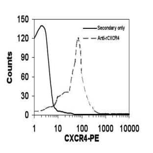 anti-Chemokine (C-X-C Motif) Receptor 4 (CXCR4) antibody avatar
