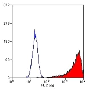 anti-Colony Stimulating Factor 1 Receptor (CSF1R) antibody (PE) avatar