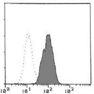 anti-Colony Stimulating Factor 2 Receptor, Beta, Low-Affinity (Granulocyte-Macrophage) (CSF2RB) antibody avatar
