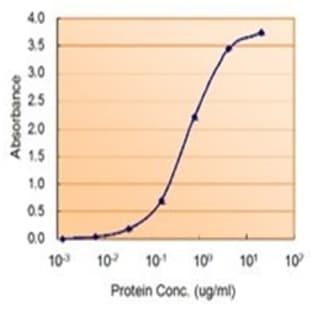 anti-Catechol-O-Methyltransferase (COMT) (Internal Region) antibody avatar