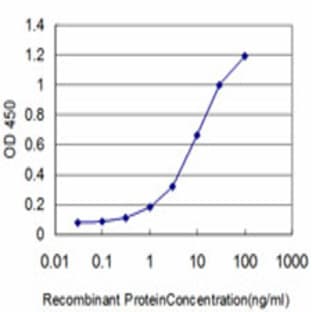 anti-Kruppel-Like Factor 6 (KLF6) (AA 1-101) antibody avatar