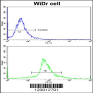 anti-Kruppel-Like Factor 6 (KLF6) (C-Term), (AA 159-186) antibody avatar
