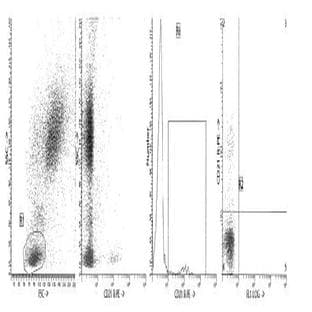anti-Complement Component (3d/Epstein Barr Virus) Receptor 2 (CR2) antibody (FITC) avatar