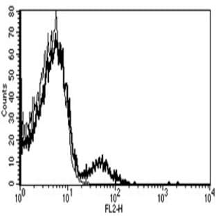 anti-Complement Component (3d/Epstein Barr Virus) Receptor 2 (CR2) antibody (PE) avatar