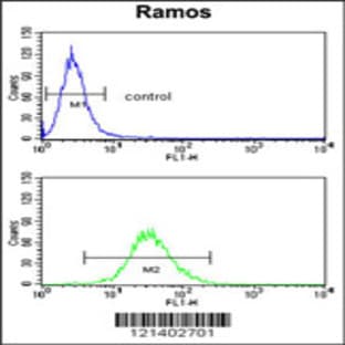 anti-Complement Component (3d/Epstein Barr Virus) Receptor 2 (CR2) (C-Term), (AA 986-1014) antibody avatar