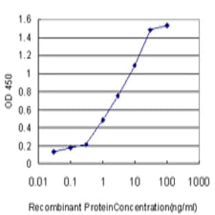 anti-Crystallin, gamma D (CRYGD) (AA 75-175) antibody avatar
