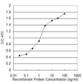 anti-Crystallin, mu (CRYM) (AA 215-315) antibody avatar