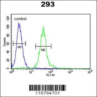anti-Colony Stimulating Factor 1 (Macrophage) (CSF1) (AA 230-257), (Center) antibody avatar