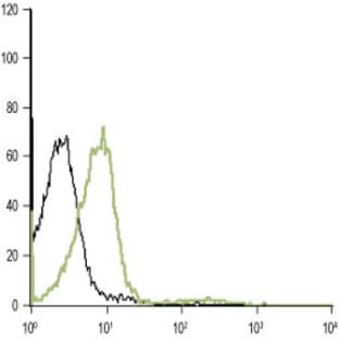 anti-Adrenergic Receptor, alpha 1d (ADRA1D) (3rd Extracellular Loop), (AA 231-245), (Cys240Ser-Mutant) antibody avatar