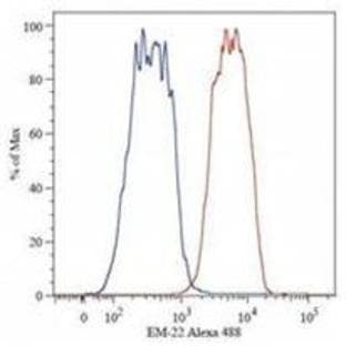 anti-Catenin (Cadherin-Associated Protein), beta 1, 88kDa (CTNNB1) antibody avatar