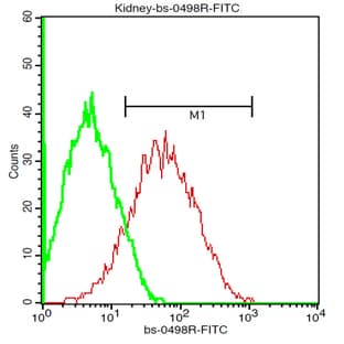 anti-Adrenergic, beta-1-, Receptor (ADRB1) antibody avatar