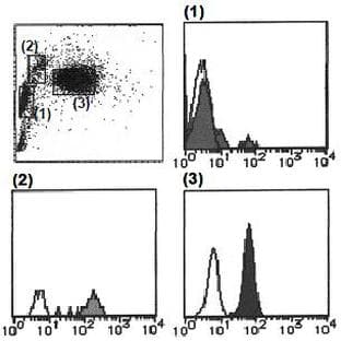 anti-Cytochrome B-245, alpha Polypeptide (CYBA) antibody (FITC) avatar