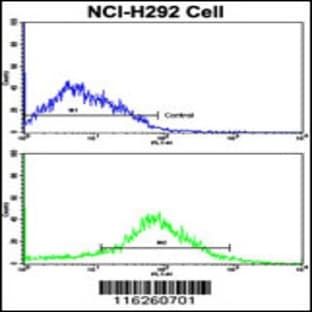 anti-Adrenergic, beta-2-, Receptor, Surface (ADRB2) (AA 345-373), (Ser364) antibody avatar