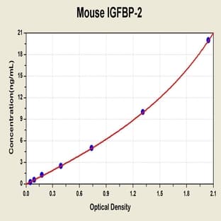 Insulin-Like Growth Factor Binding Protein 2, 36kDa (IGFBP2) ELISA Kit