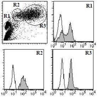 anti-Complement Decay-Accelerating Factor (CD55) antibody (FITC) avatar