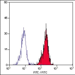anti-Complement Decay-Accelerating Factor (CD55) antibody avatar
