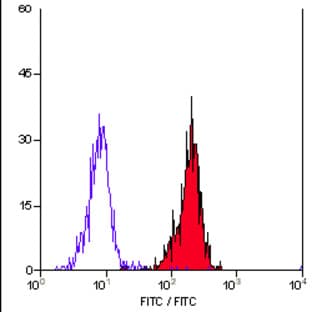 anti-Complement Decay-Accelerating Factor (CD55) antibody avatar