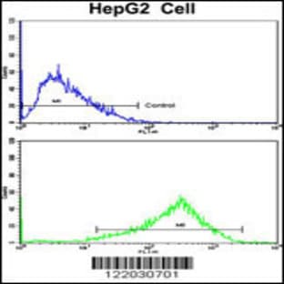 anti-Adaptor-Related Protein Complex 2, alpha 2 Subunit (AP2A2) (AA 610-637), (Center) antibody avatar