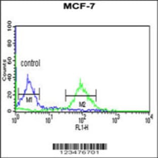 anti-DCI (C-Term), (AA 275-302) antibody avatar