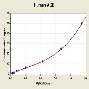 Angiotensin I Converting Enzyme (Peptidyl-Dipeptidase A) 1 (ACE) ELISA Kit avatar