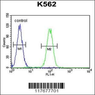 anti-DEAD/H (Asp-Glu-Ala-Asp/His) Box Polypeptide 11 (DDX11) (C-Term), (AA 819-847) antibody avatar