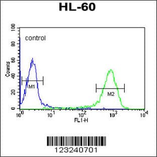 anti-DCP2 Decapping Enzyme Homolog (S. Cerevisiae) (DCP2) (AA 144-173), (Center) antibody avatar