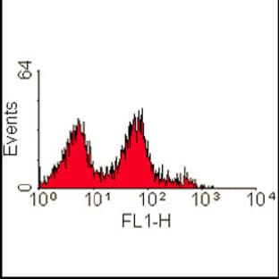 anti-Dipeptidyl-Peptidase 4 (DPP4) antibody