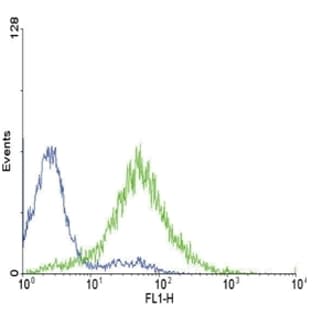 anti-Endothelin Receptor Type A (EDNRA) (AA 132-162) antibody avatar