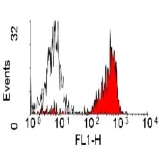 anti-Protein tyrosine Phosphatase, Receptor Type, C (PTPRC) antibody avatar