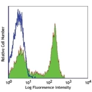 anti-Protein tyrosine Phosphatase, Receptor Type, C (PTPRC) antibody avatar