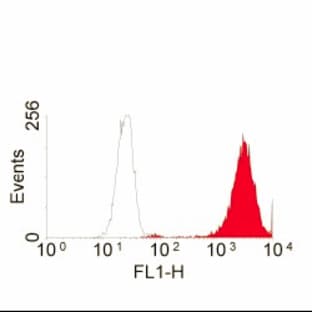 anti-Epidermal Growth Factor Receptor (EGFR) (Extracellular Domain) antibody avatar