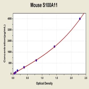S100 Calcium Binding Protein A11 (S100A11) ELISA Kit avatar