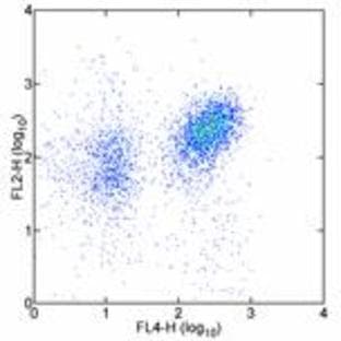 anti-CD36 Molecule (thrombospondin Receptor) (CD36) antibody (PE) avatar