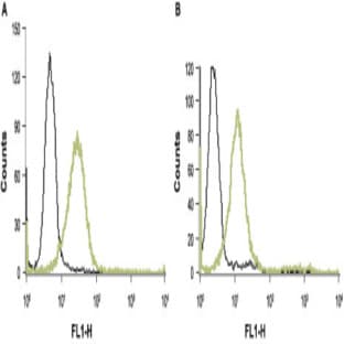 anti-Coagulation Factor II (thrombin) Receptor (F2R) (N-Term), (AA 61-76), (Extracellular Loop) antibody avatar