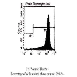 anti-CD90 (THY1) antibody