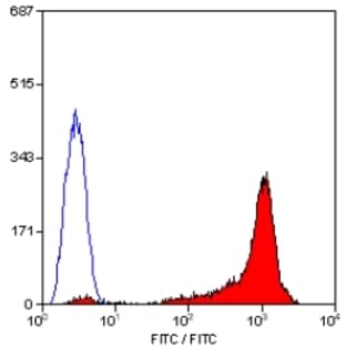 anti-CD90 (THY1) antibody (FITC) avatar