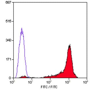 anti-CD90 (THY1) antibody (FITC) avatar