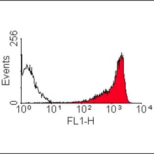 anti-CD90 (THY1) antibody (FITC) avatar