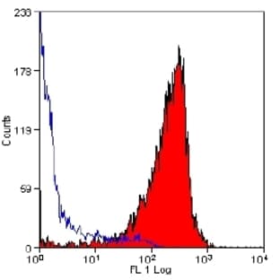 anti-CD90 (THY1) antibody