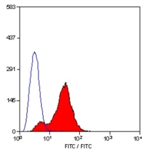 anti-CD40 Molecule, TNF Receptor Superfamily Member 5 (CD40) (Extracellular Domain) antibody (FITC) avatar