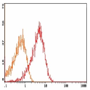 anti-CD27 Molecule (CD27) antibody (FITC) avatar