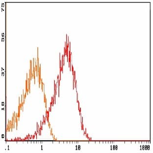 anti-CD27 Molecule (CD27) antibody (PE) avatar