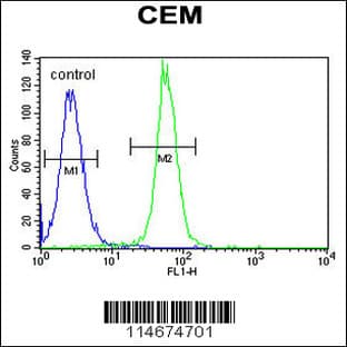 anti-ADP-Ribosylation Factor-Like 5B (ARL5B) (C-Term), (AA 122-154) antibody avatar