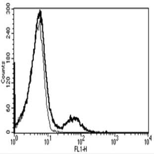 anti-CD16 Molecule (CD16) antibody avatar