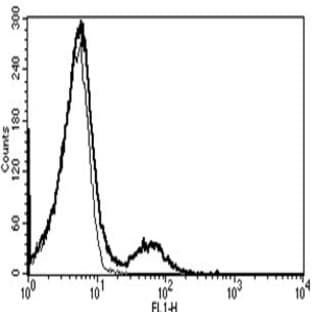 anti-CD16 Molecule (CD16) antibody (FITC) avatar