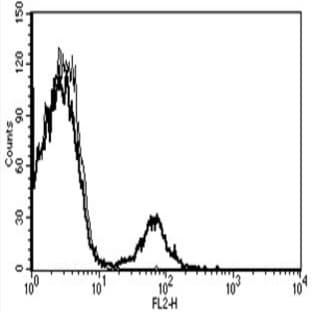 anti-CD16 Molecule (CD16) antibody (PE) avatar