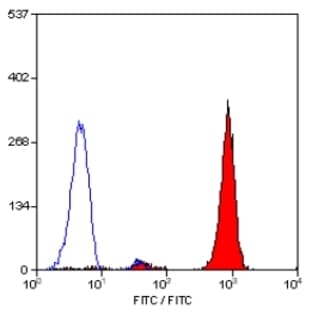 anti-CD16 Molecule (CD16) antibody (FITC) avatar