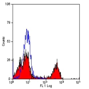 anti-CD16 Molecule (CD16) antibody avatar